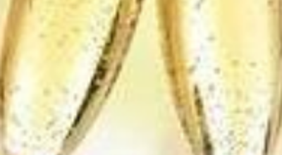 26 01 08 Nieuwjaarsactiviteit