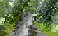 IMG 20250629 WA0002