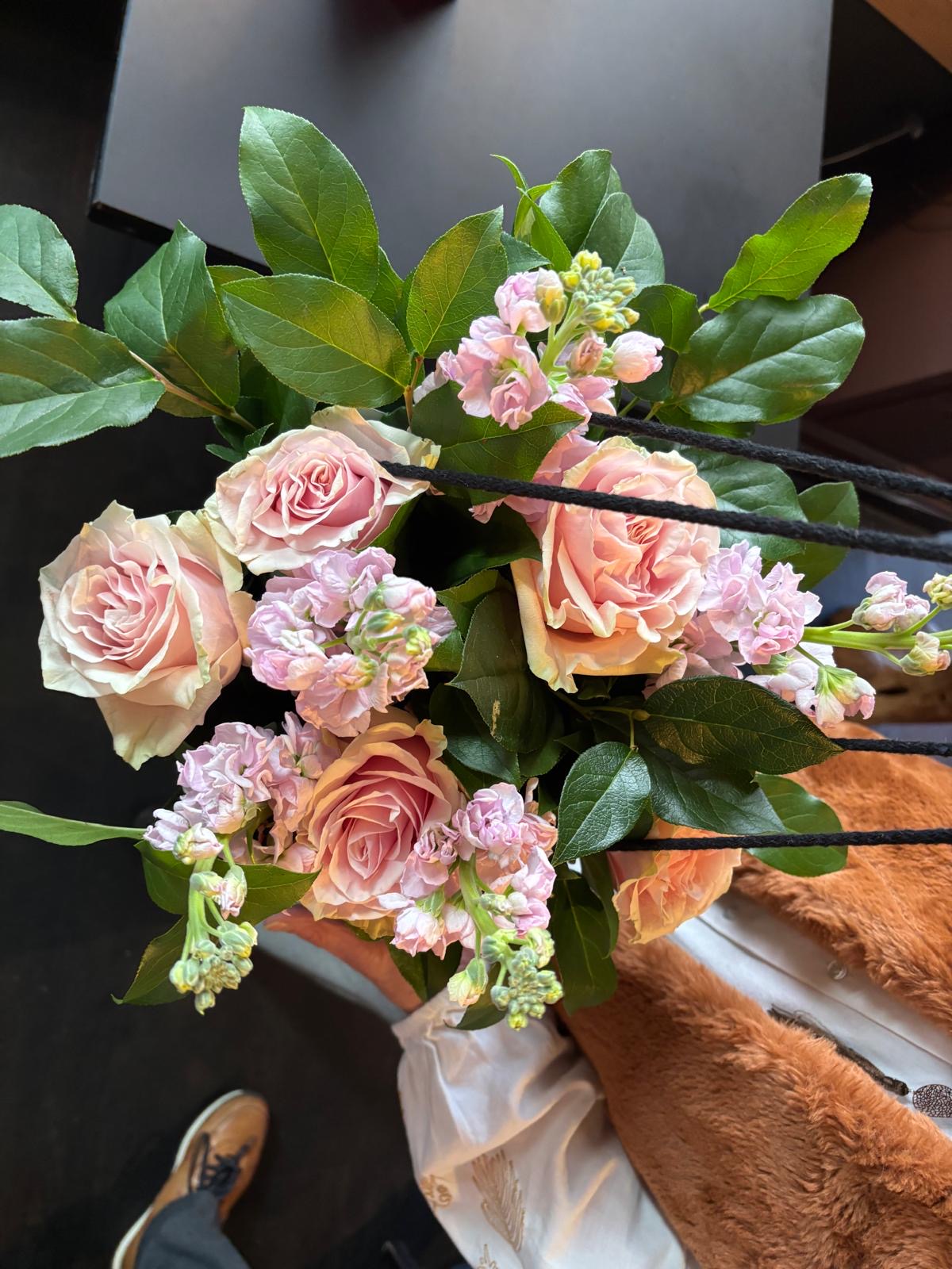 72811A4a 0331 4A9c 8Cbb Baf14453ce2a