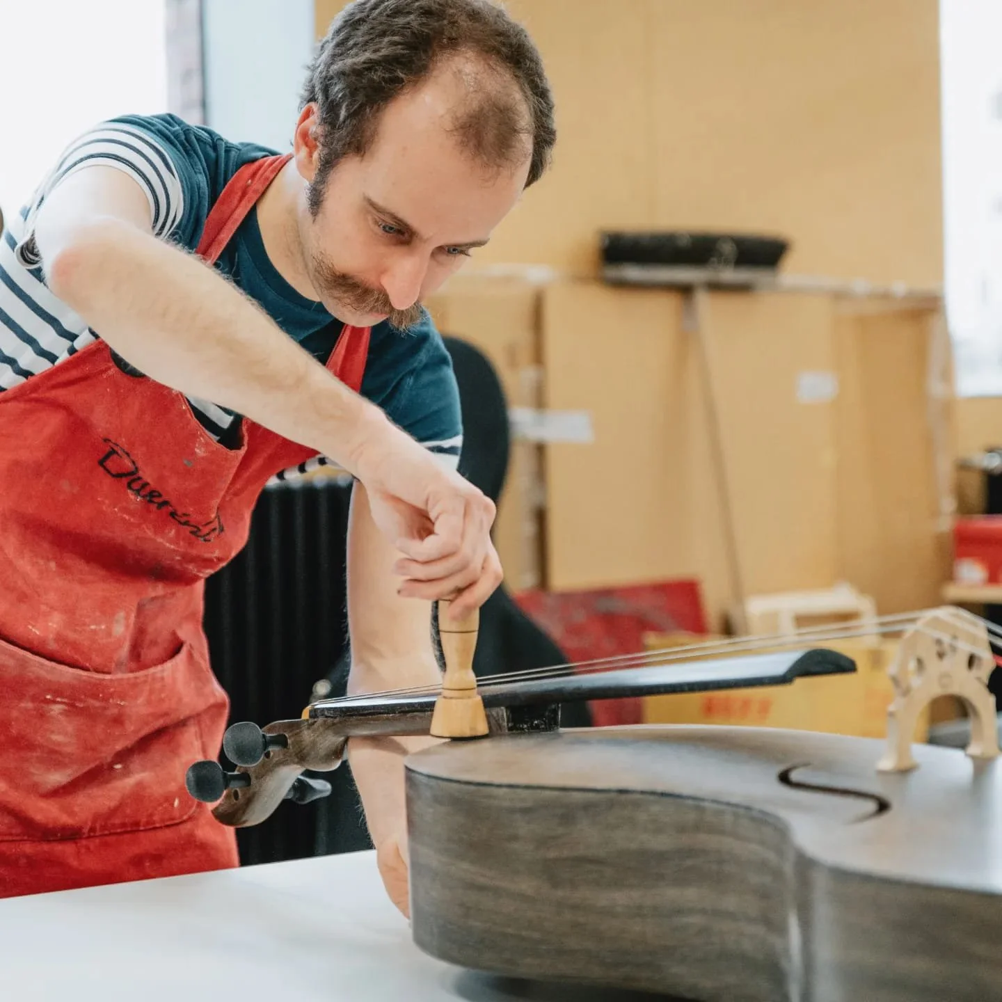 273811452 5254820424550346 246648221941805037 N