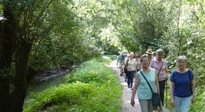 Wandelen