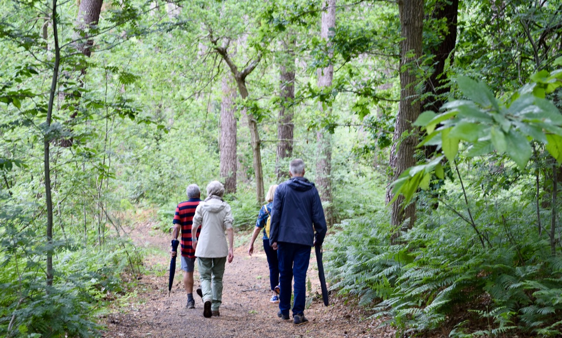 17B3891e 1048 42Ee 801D 4Ad940884ec3 1 105 C