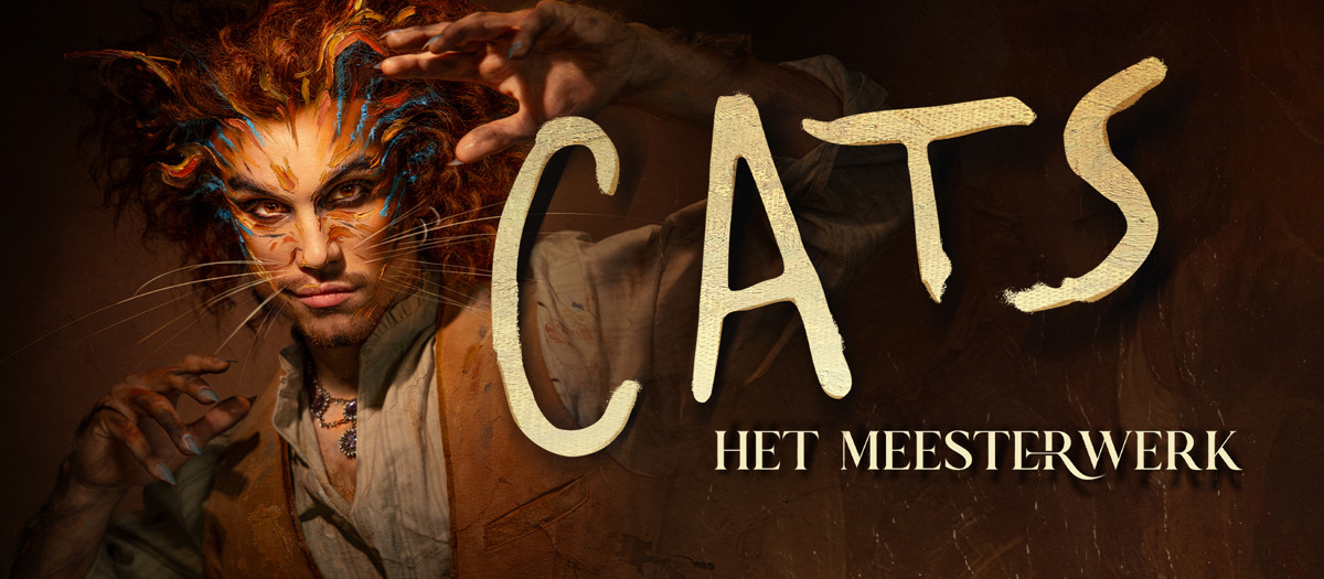 Cats Foto Rob Jacobs 1920X1080