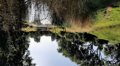 Bornem 20250721 090739 Eikevliet