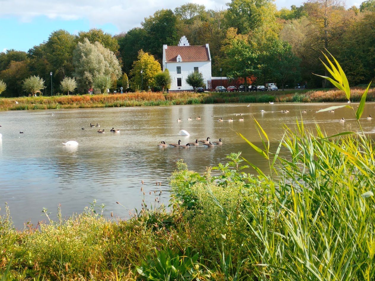 Herfstwandeling Zoete Water