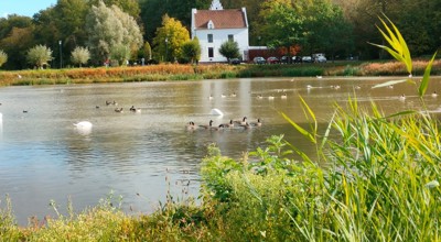 Herfstwandeling Zoete Water