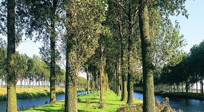 Moerkerke