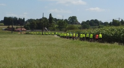fietsende ruiseleedse senioren
