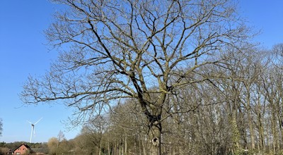 Wandeling Deurne-Diest