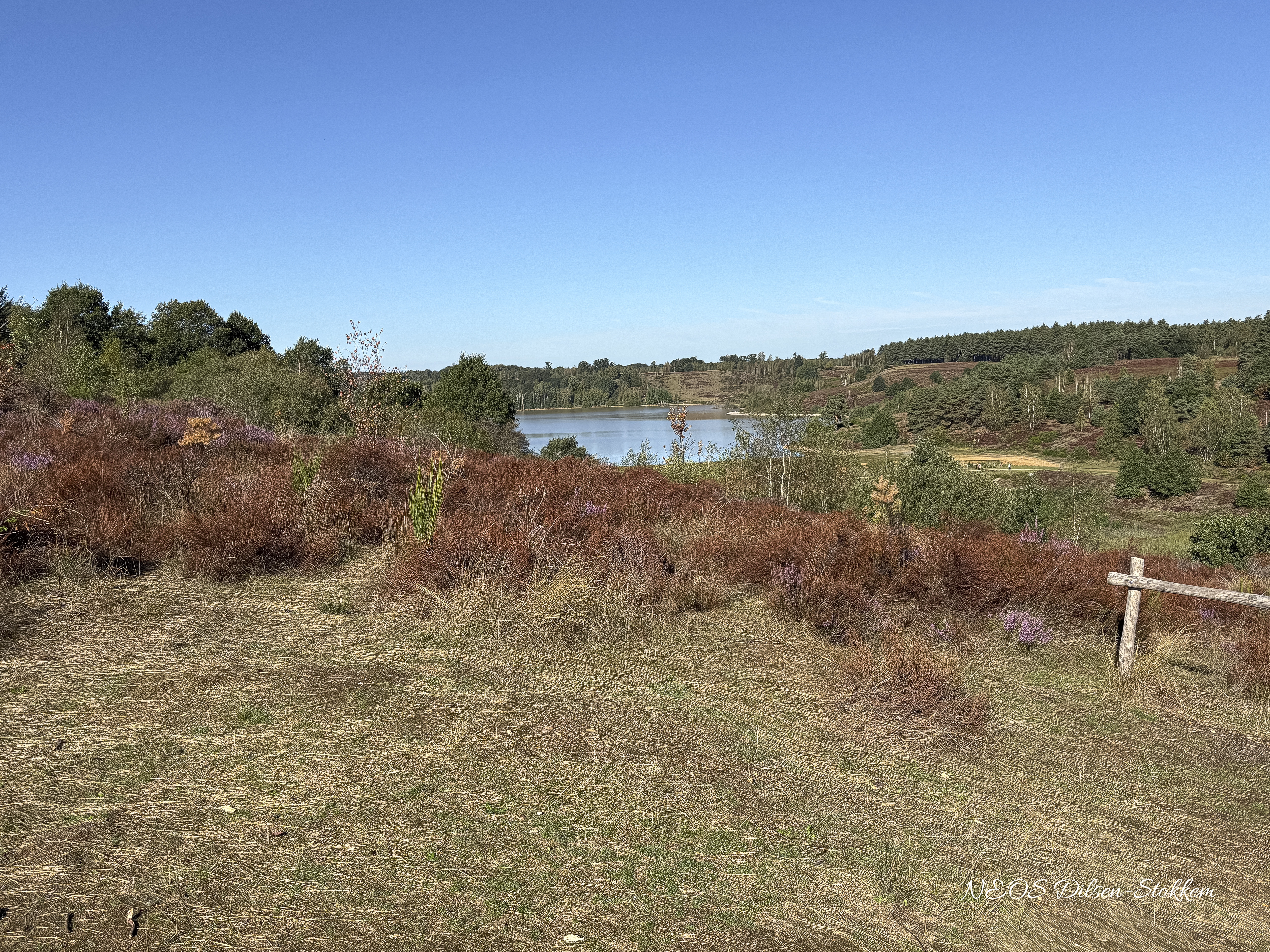 Wandeling 2026 09 15 Mechelse Heide 005