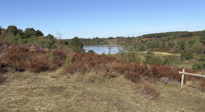 Wandeling 2026 09 15 Mechelse Heide 005