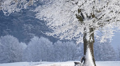 Gamagapix Winter 4680354