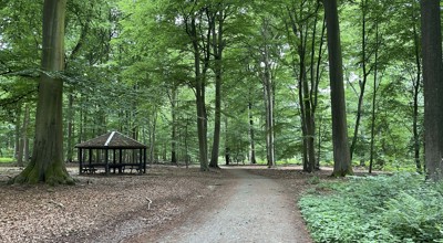Buggen 2