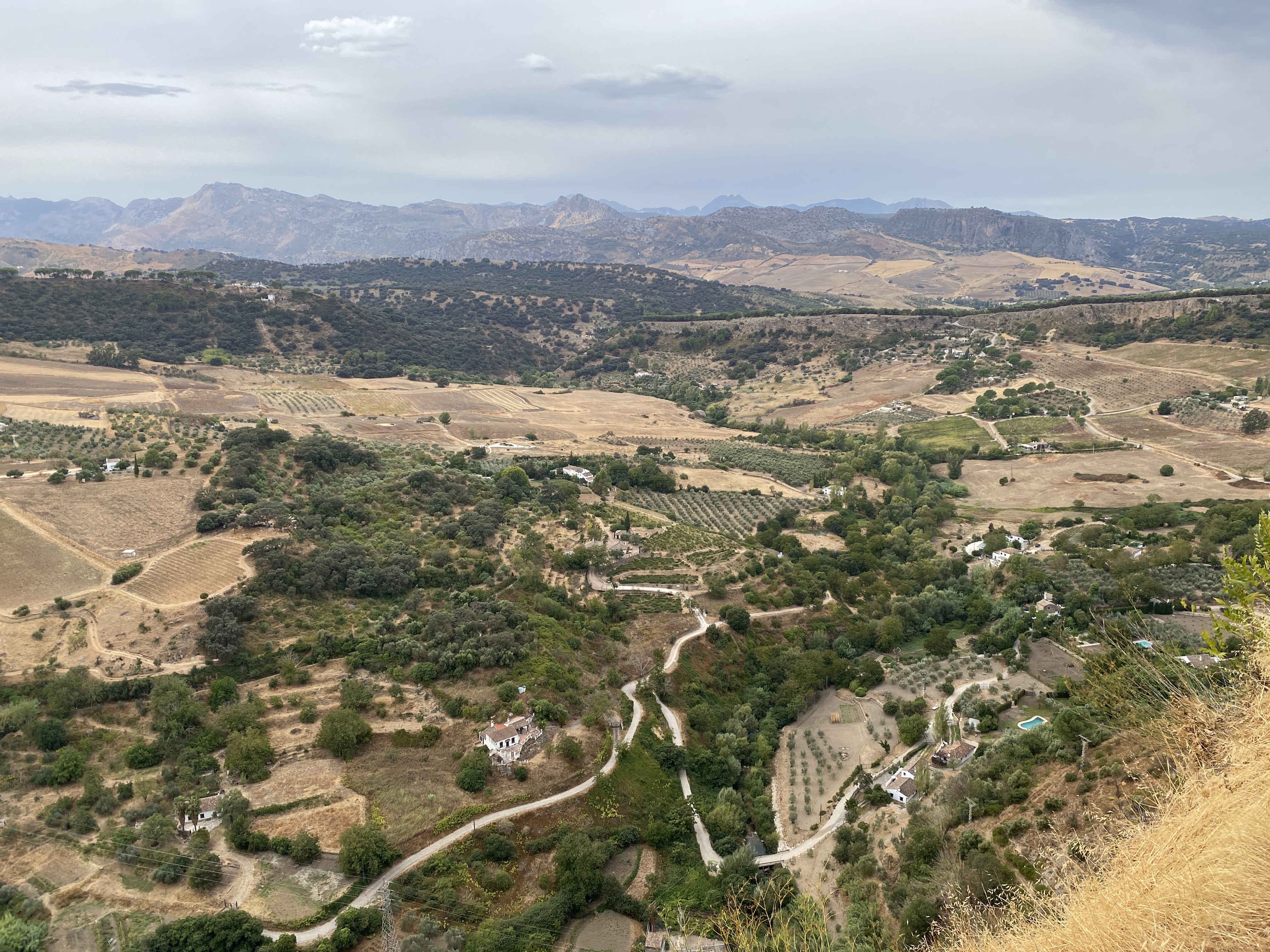 Ronda Vll