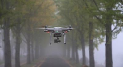 20251221 Foto Van Drone Ginkgo 3758236 1280