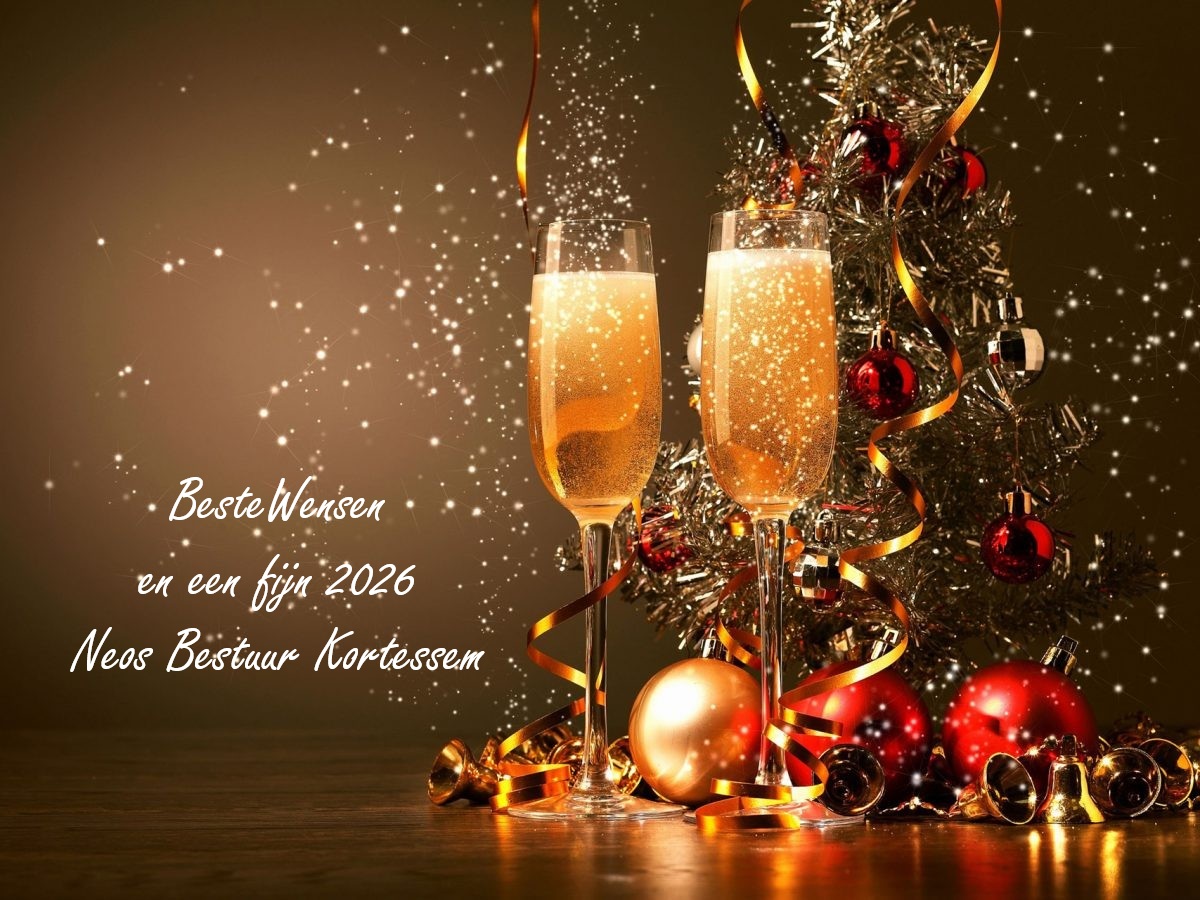 Kerst En Nieuwjaarswensen Neos