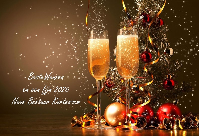 Kerst En Nieuwjaarswensen Neos
