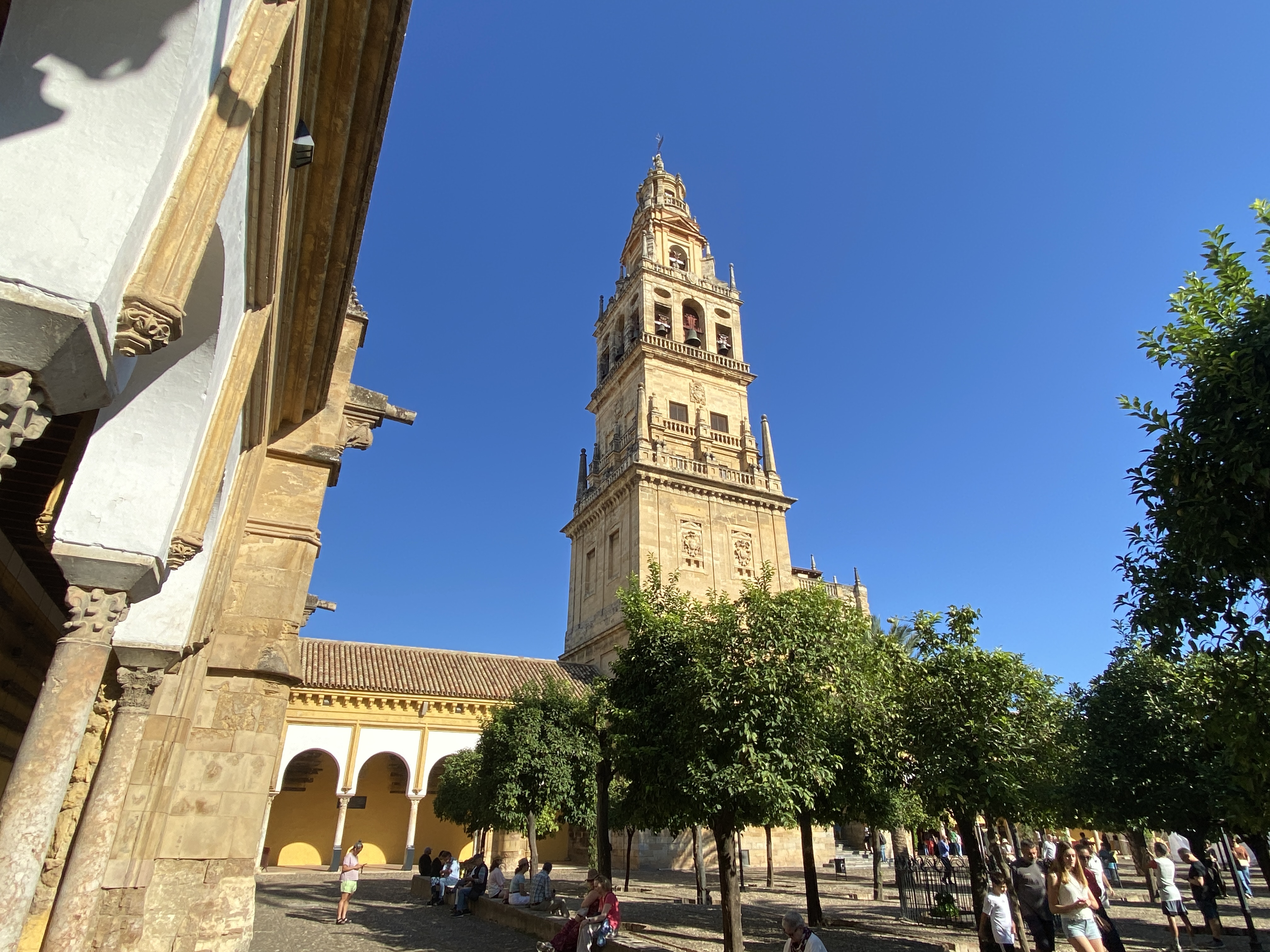 Cordoba lll
