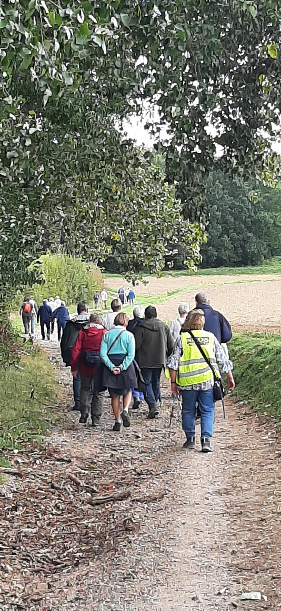 Mollekensbergwandeling 17sep2026