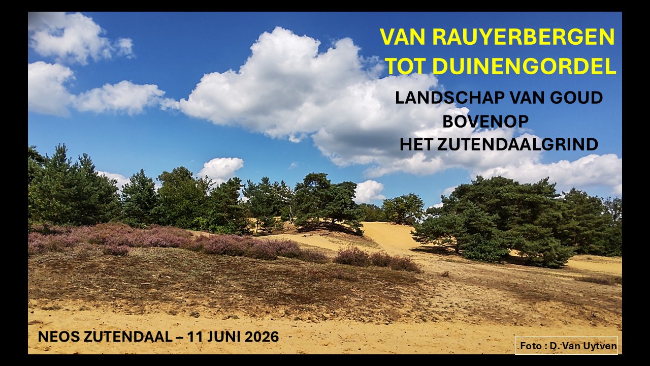 De Duinengordel