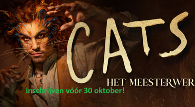 Cats Foto Rob Jacobs 1920X1080 (1)
