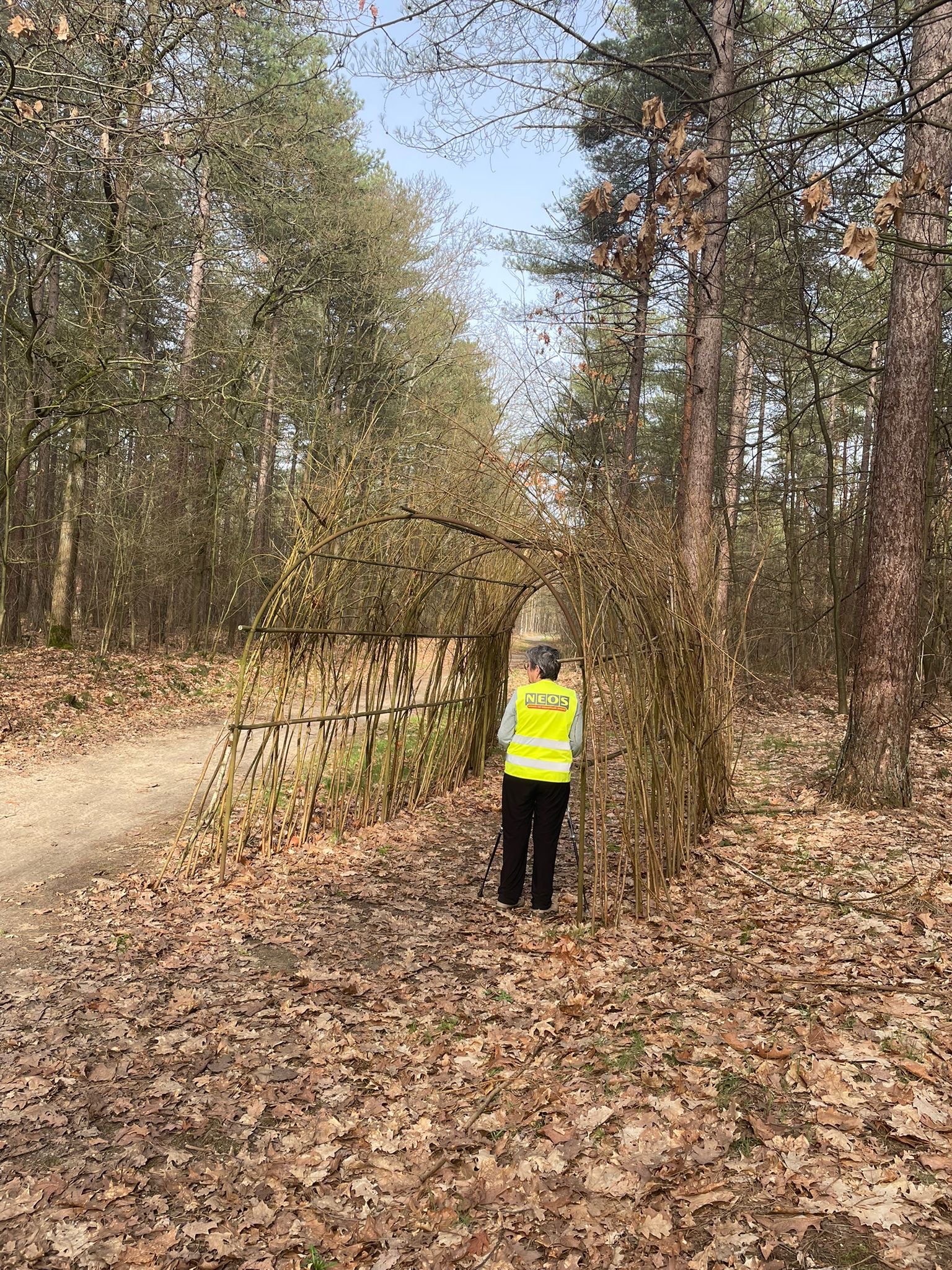 C5637fac Cd5c 4D57 Ab45 Af64a28b770c