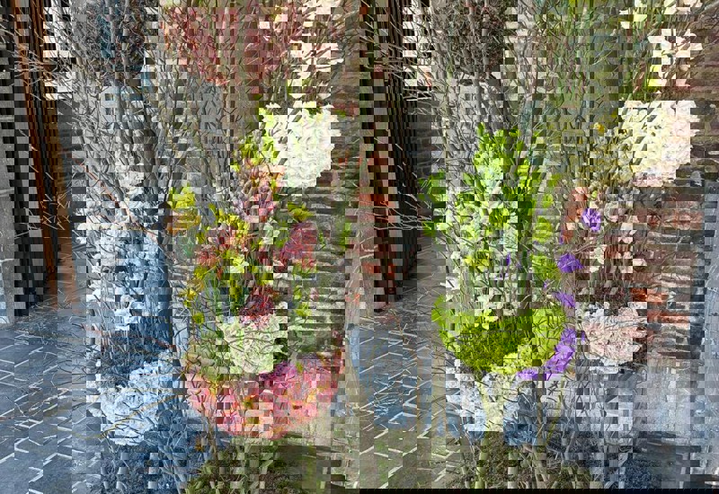 IMG 20250927 WA0014