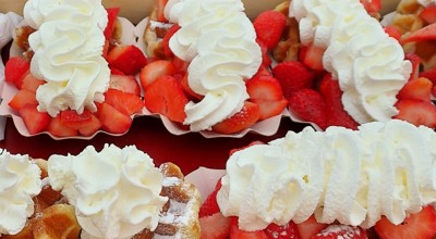 20250424 Neos Rijsbergen (7)B