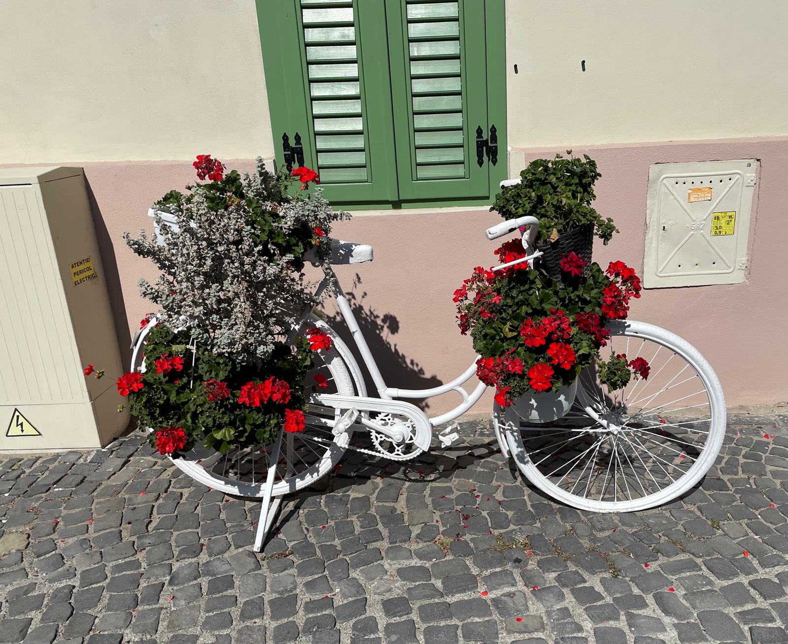Fiets1