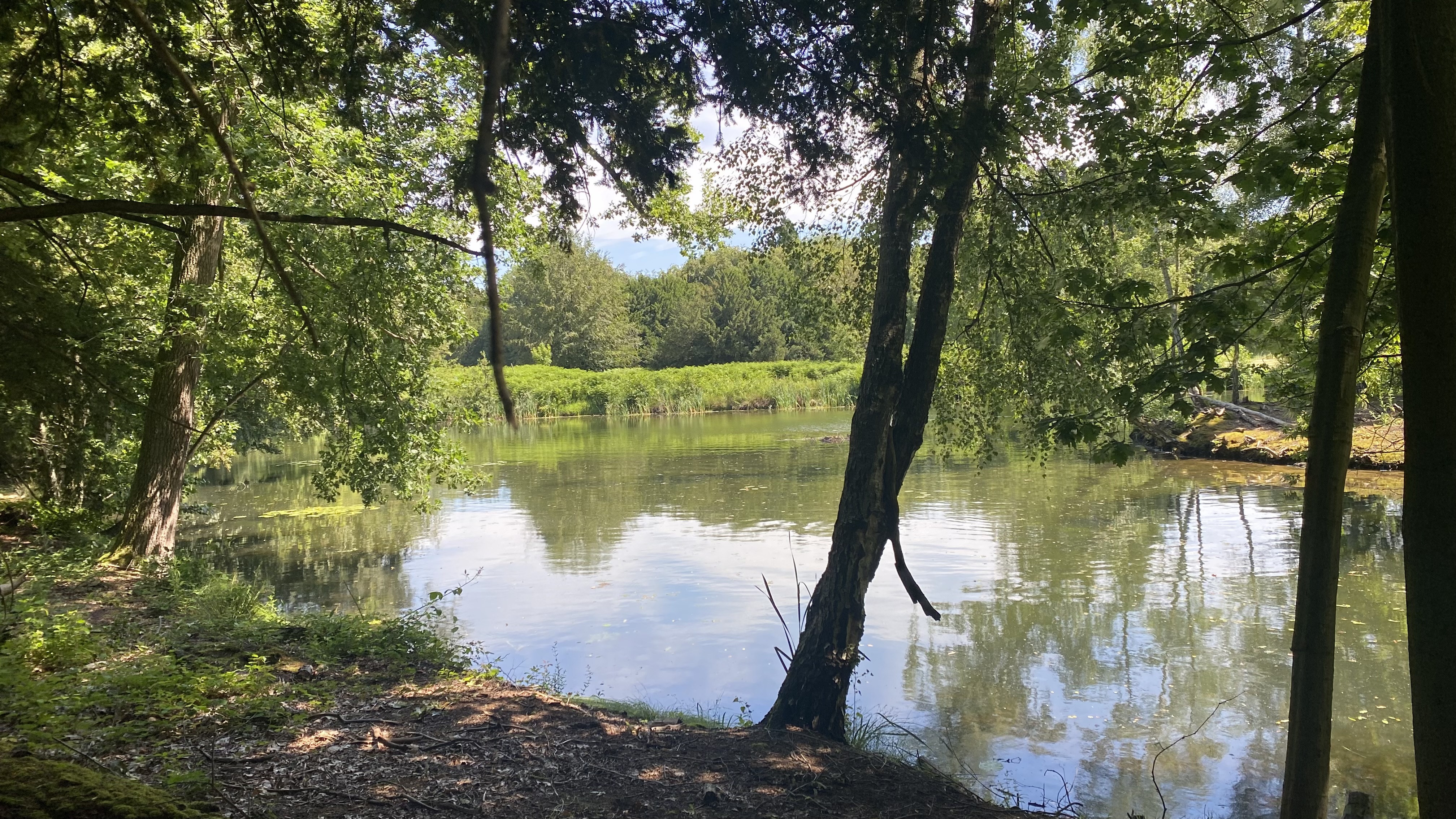 Bonte Hannek