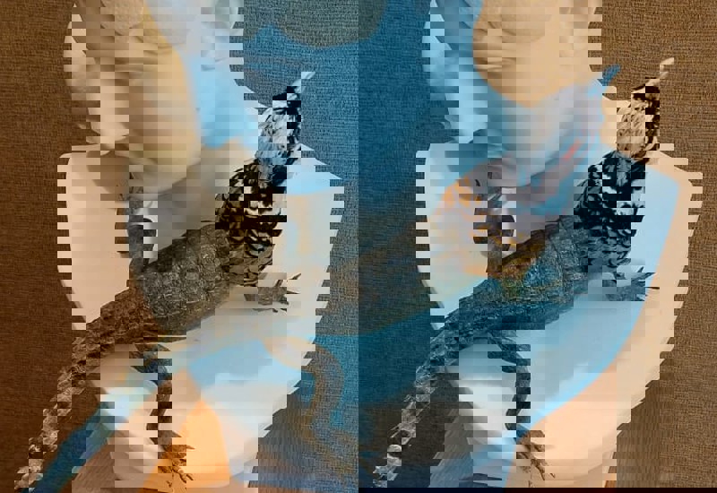 IMG 20250916 WA0004
