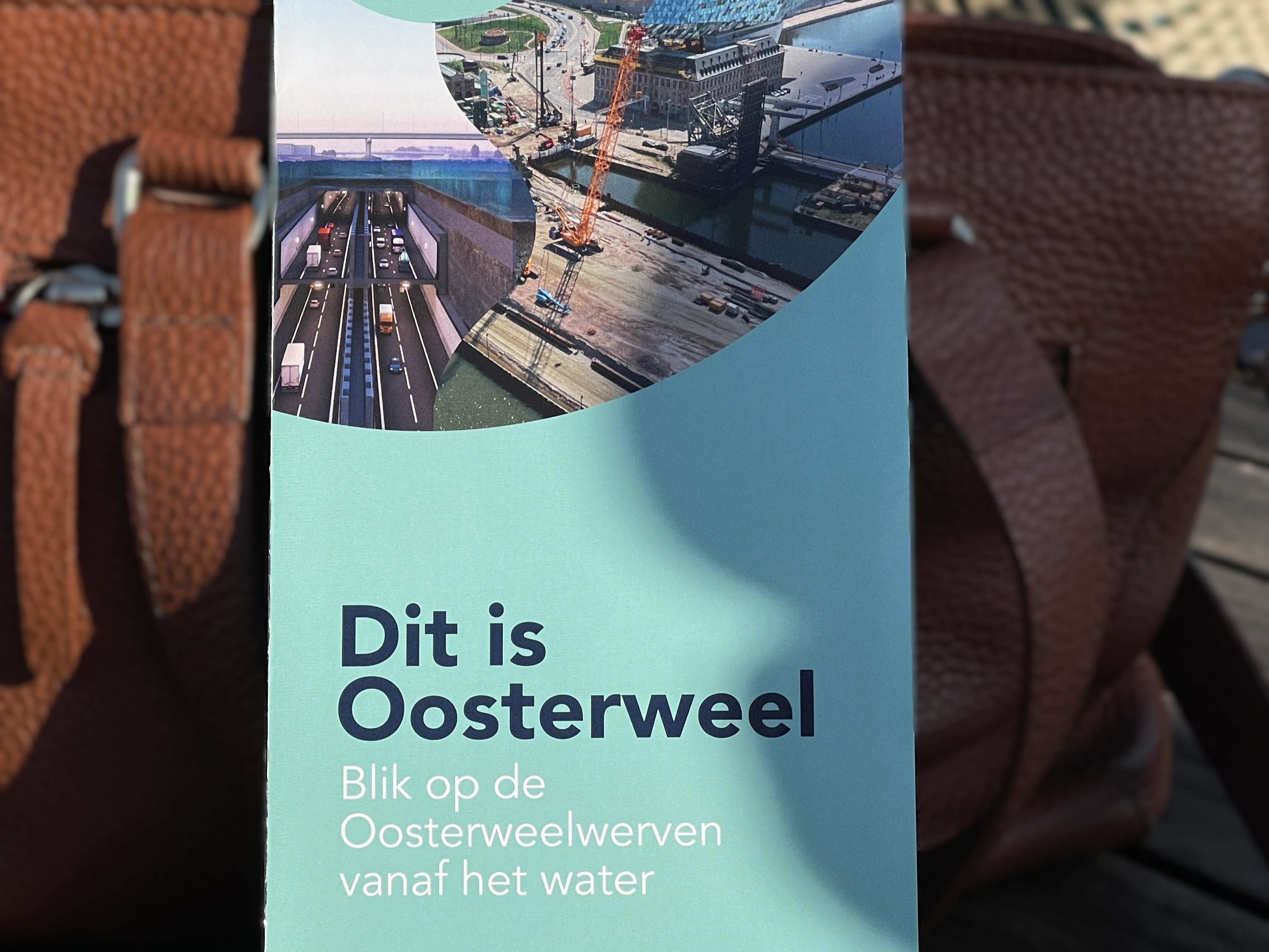 Oosterweelcruise