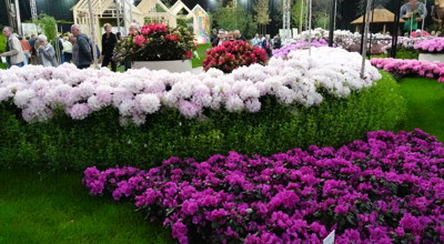 Gentse Floraliën 1