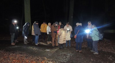 Dscn3329-pitslempkeswandeling-20231201