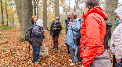 Herfstwandeling