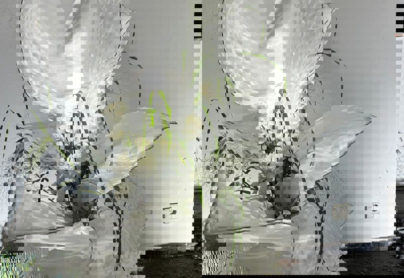 IMG 20250926 WA0029