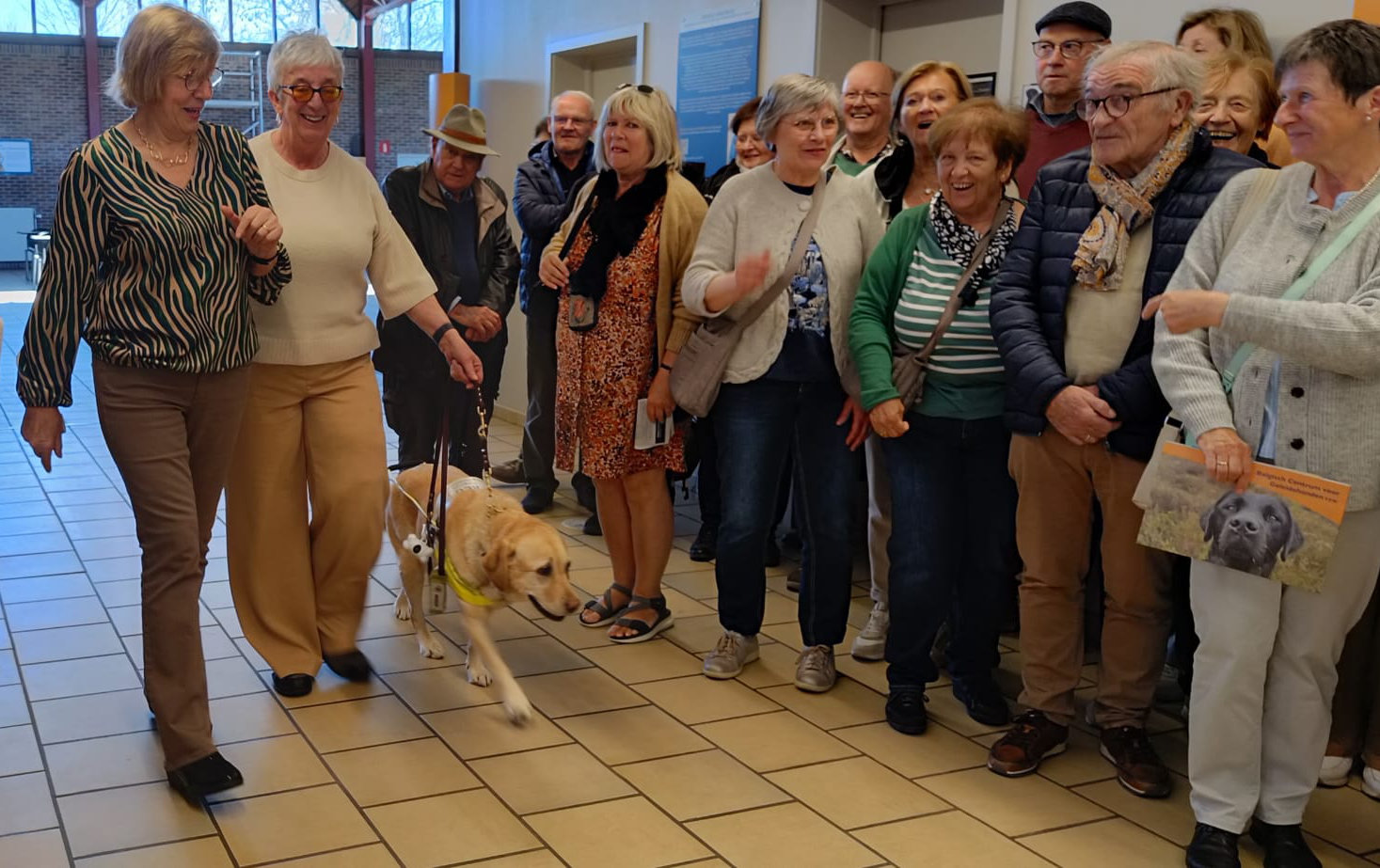 Blindengeleidehonden Cover Foto