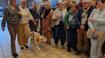 Blindengeleidehonden Cover Foto