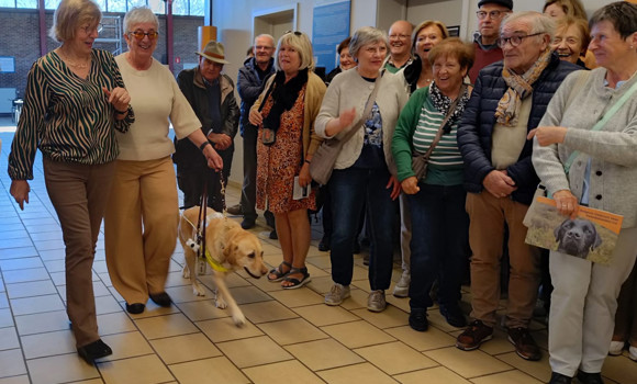 Blindengeleidehonden Cover Foto