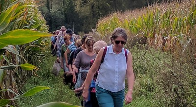 Wandeling september 2024