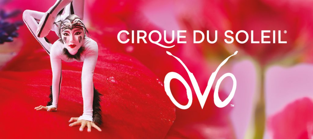 Cirque du soleil OVO