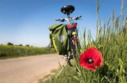 Provinciale Wandeldag