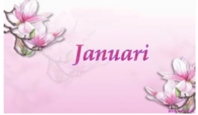 Schermafbeelding 2026 01 03 Om 17.58.17