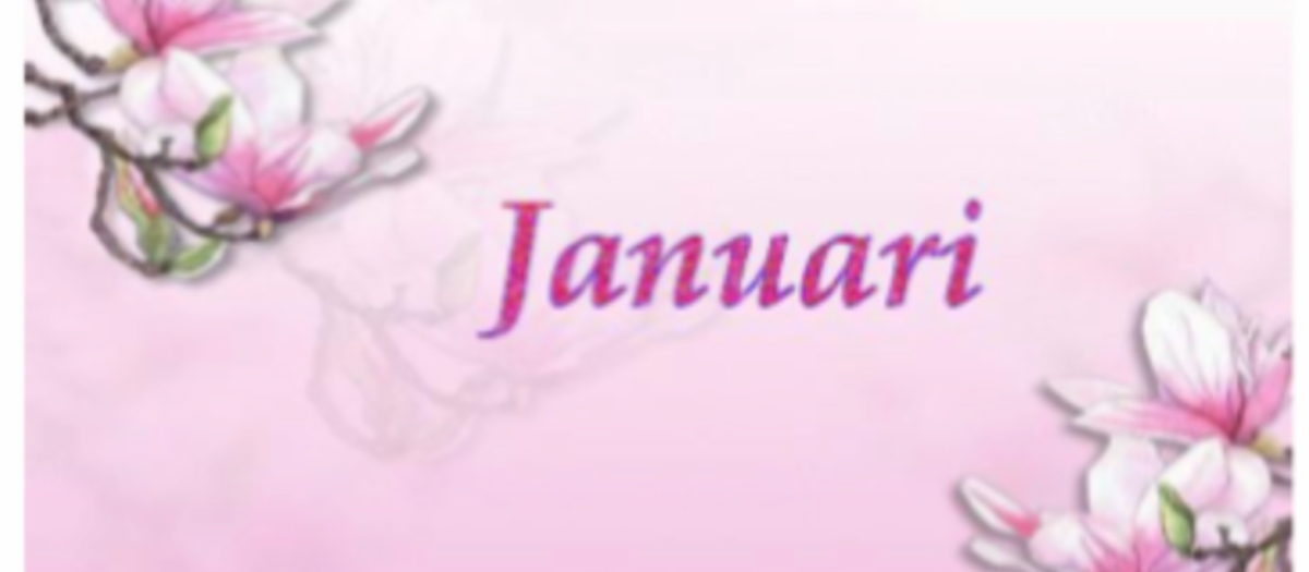 Schermafbeelding 2026 01 03 Om 17.58.17