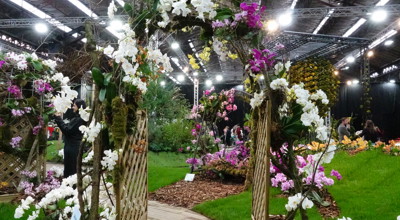 Gentse Floraliën 2