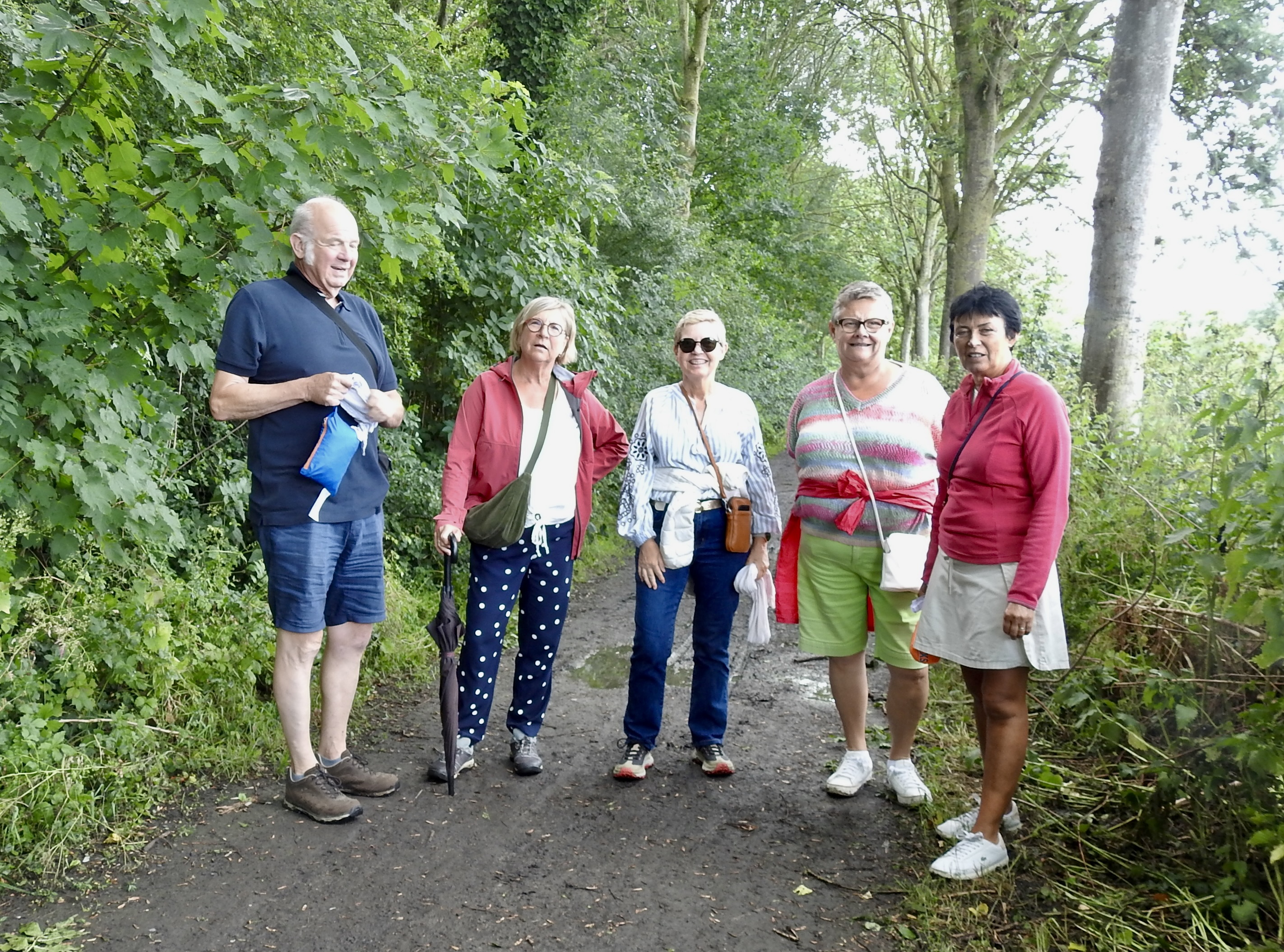 Wandelen