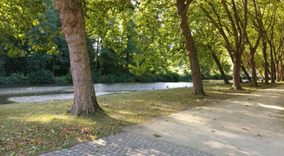 Wandeling Nov 26