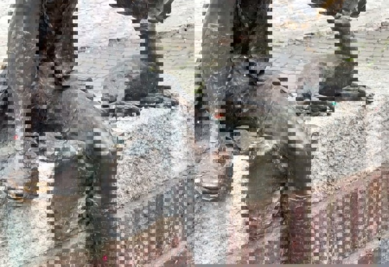 Whatsapp Image 2026 03 10 At 20.57.04