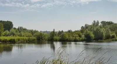 29-05-2026 Gooik Paddenbroek