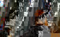 IMG 20250629 WA0006
